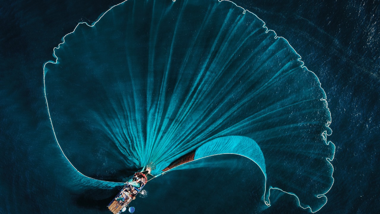 Fishing Line Yarn: Precision, Strength, and Reliability for Every Catch