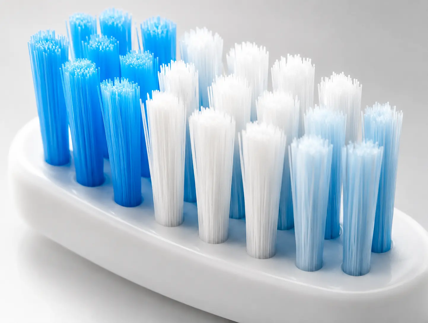 PERSONAL & DENTAL CARE SHANTHI-CARE™ Oral Care Dental Care Artistic Brushes Cosmetics